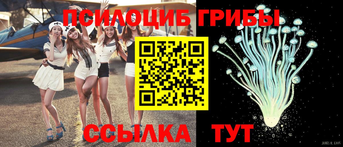 Псилоцибиновые грибы прущие грибы Дзержинск