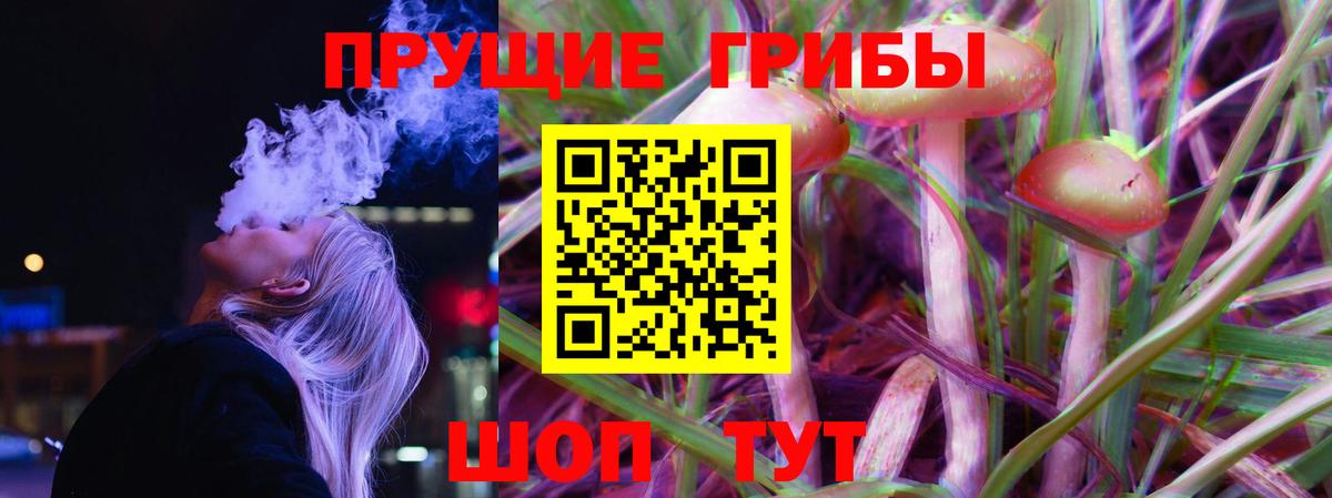 Дзержинск  Псилоцибиновые грибы Psilocybine cubensis  Вход с VPN 